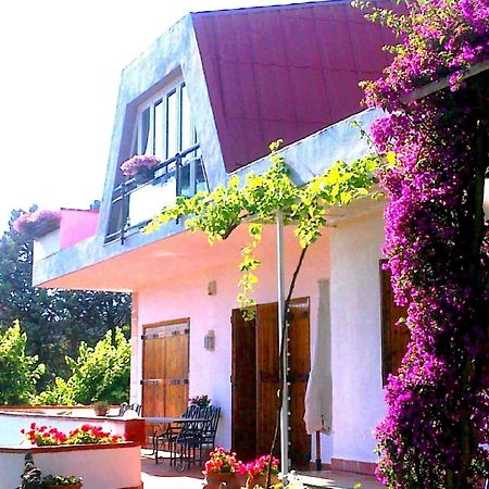 Bed And Breakfast Aloisio San Gregorio di Catania Exterior photo