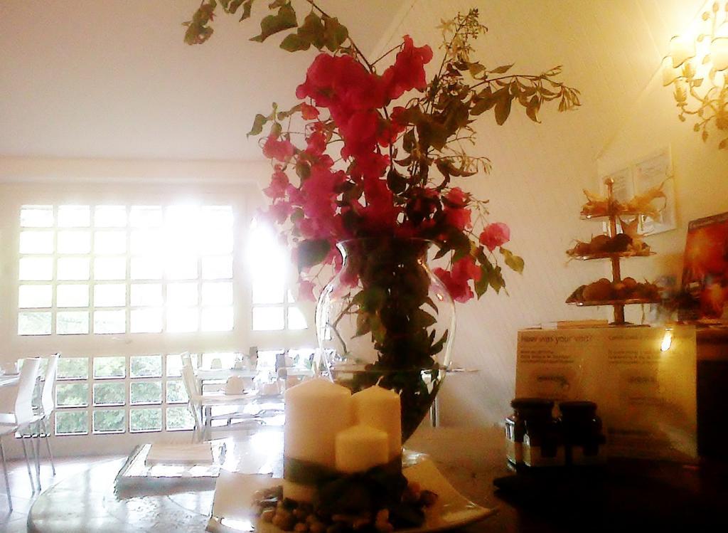 Bed And Breakfast Aloisio San Gregorio di Catania Exterior photo