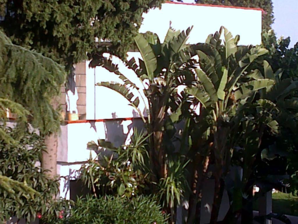 Bed And Breakfast Aloisio San Gregorio di Catania Exterior photo