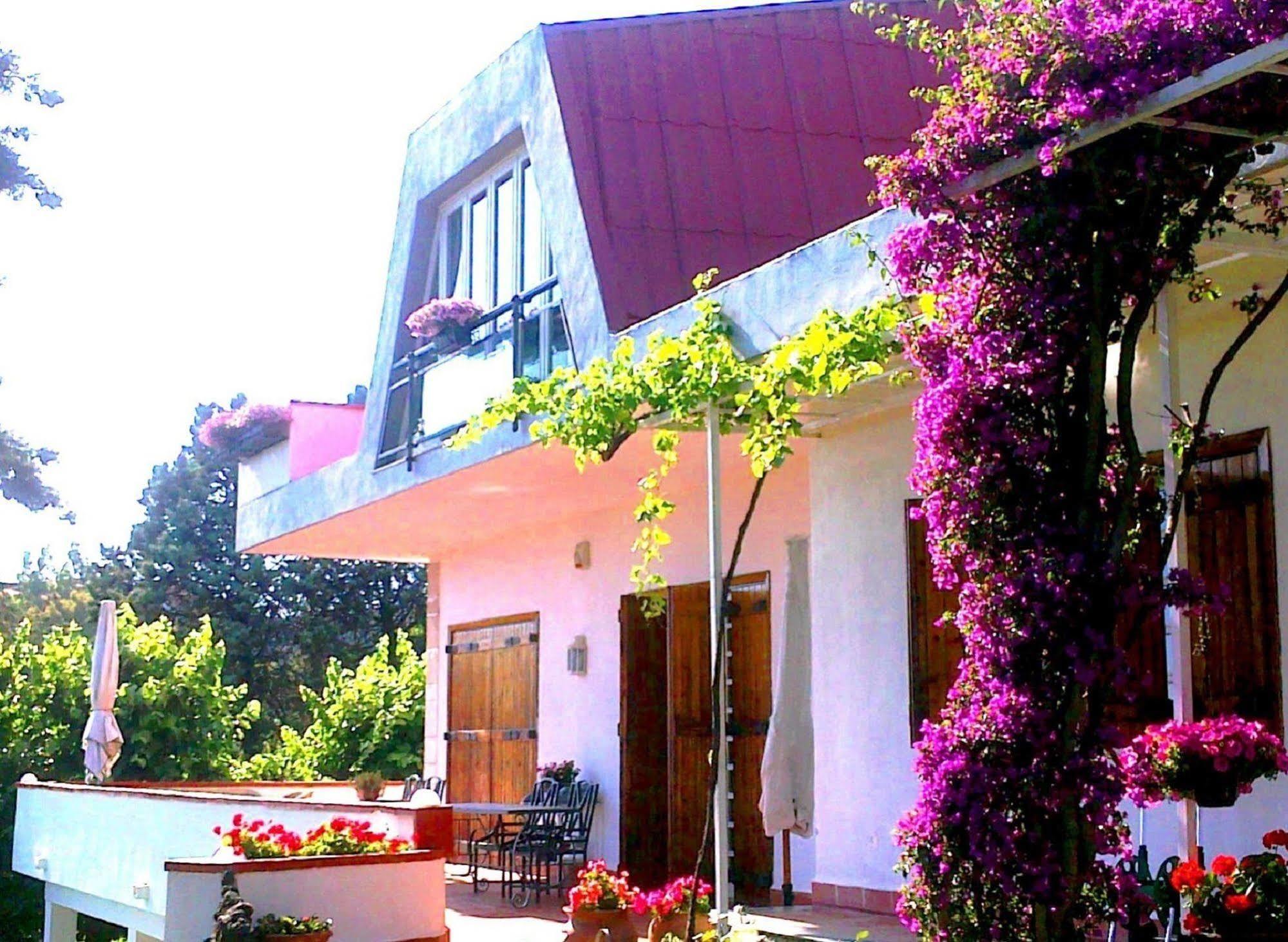 Bed And Breakfast Aloisio San Gregorio di Catania Exterior photo